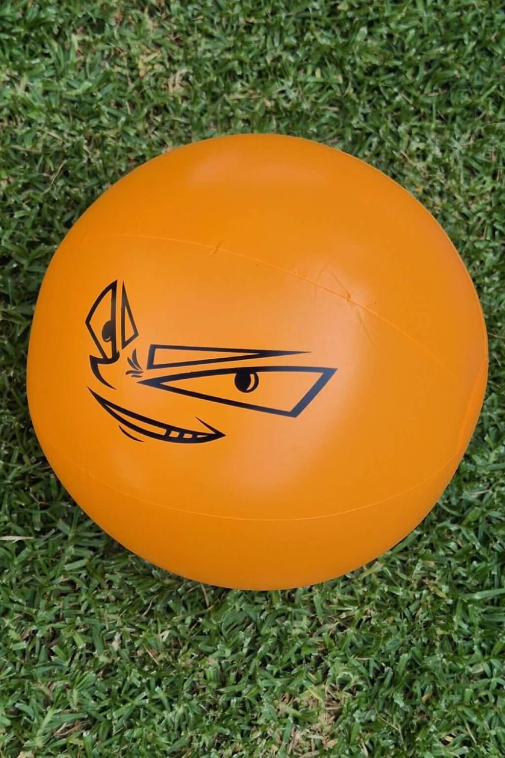 CRAZY BEACH TOWEL + BALL