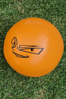 CRAZY BEACH TOWEL + BALL