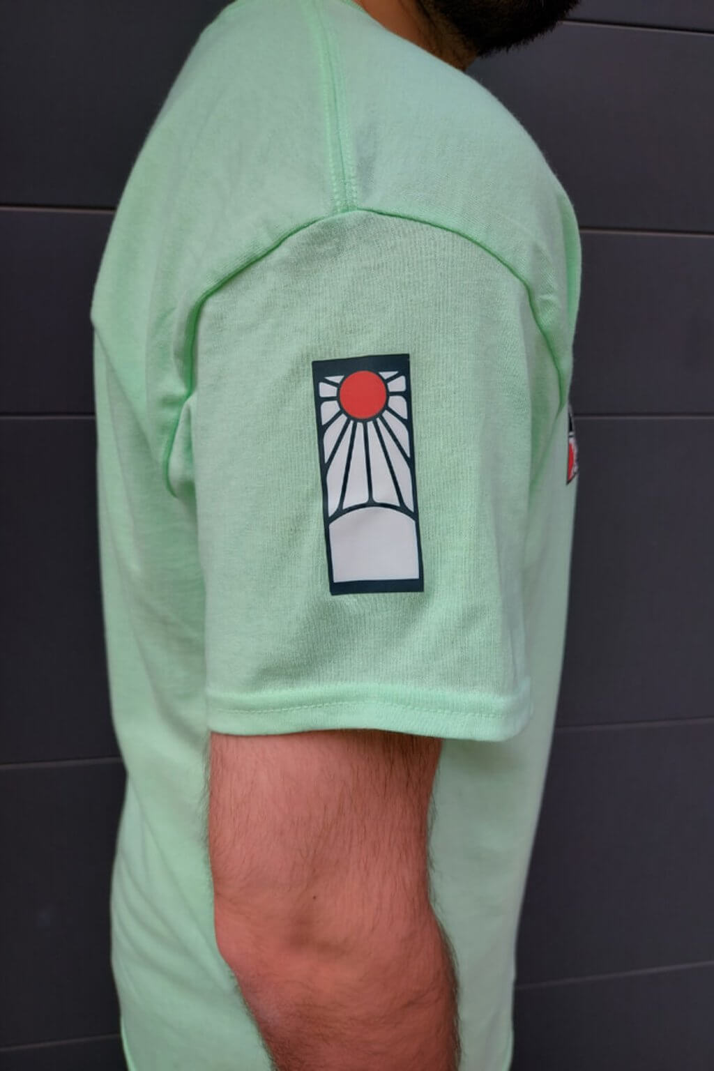  T-SHIRT DEMON KILLER